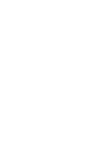 light logo